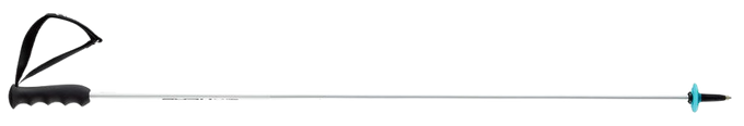 Skistöcke HEAD Worldcup Rebels Carbon - 2023/24