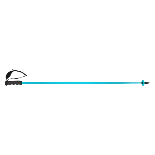Ski poles HEAD Worldcup SL Speed Blue - 2025/26