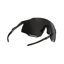 Sonnenbrille Dynafit Alpine Sunglasses Black Out/Nimbus- 2025/26