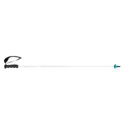 Ski poles HEAD Worldcup Rebels Carbon White - 2025/26