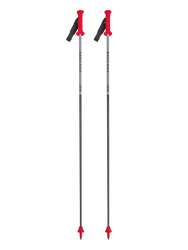 Poles Van Deer Race GS Carbon - 2025/26