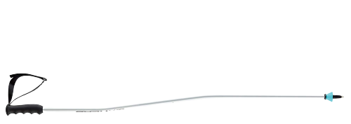 Skistöcke HEAD Worldcup SG - 2023/24