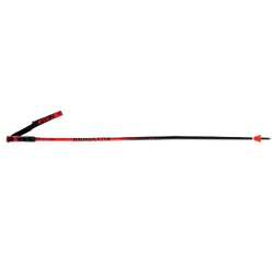 Ski poles Rossignol Hero GS-SG - 2025/26