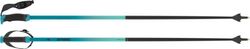 Ski poles Atomic Redster X Carbon SQS Teal Tension – 2025/26