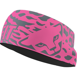 Headband Dynafit Graphic Performance Headband Cheeky Pink/Leo - 2025/26