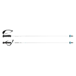 Ski poles HEAD Worldcup Rebels Carbon White - 2025/26