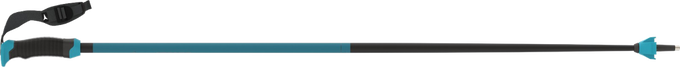 Skistöcke Atomic Redster X Carbon SQS Teal Blue – 2024/25