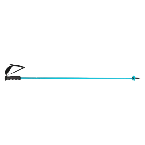 Ski poles HEAD Worldcup Rebels Carbon Speed Blue - 2025/26