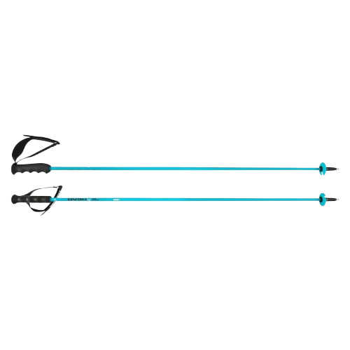 Ski poles HEAD Worldcup Rebels Carbon Speed Blue - 2025/26