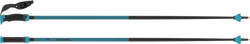 Skistöcke Atomic Redster X Carbon SQS Teal Blue – 2024/25