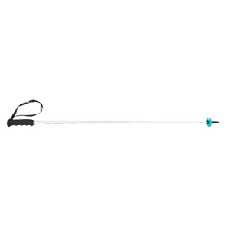 Ski poles HEAD Worldcup SL JR White - 2025/26