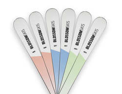 Skis Blossom Skis Turbo AM74 Multiflex + PRD 12 - 2024/25