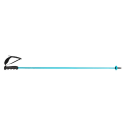Ski poles HEAD Worldcup Rebels Carbon Speed Blue - 2025/26
