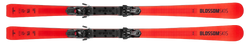 Skis Blossom Skis Numero Uno XC WCR 14 + ST 14 - 2025/26