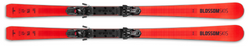 Skis Blossom Skis Numero Uno XC WCR 14 + ST 14 - 2025/26