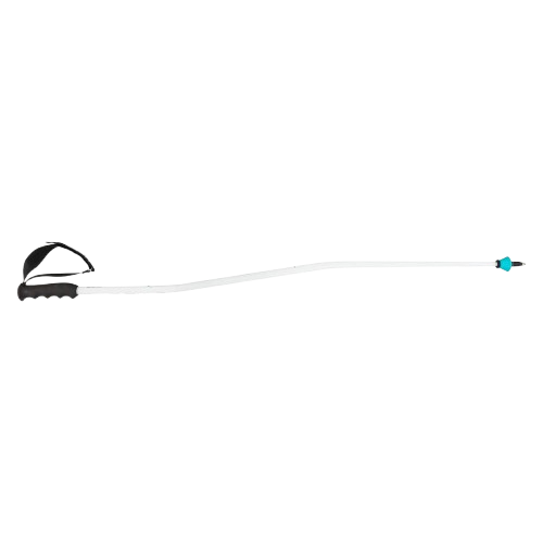 Skistöcke HEAD Worldcup SG White - 2025/26