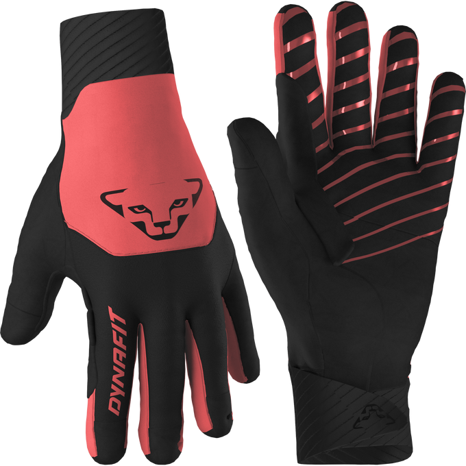 Handschuhe Dynafit Blacklight Softshell Gloves Cabana - 2025/26